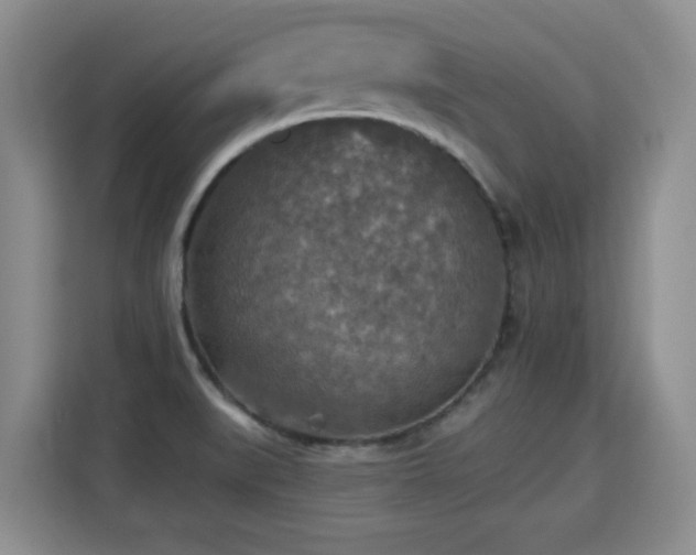 X0000115361519200911101146