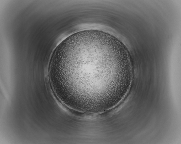 X0000115361521200911101146