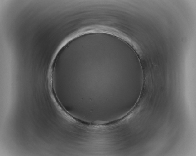 X0000115361522200911101146