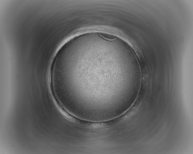 X0000115361523200911101146