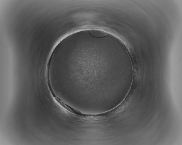 X0000115361527200911101146