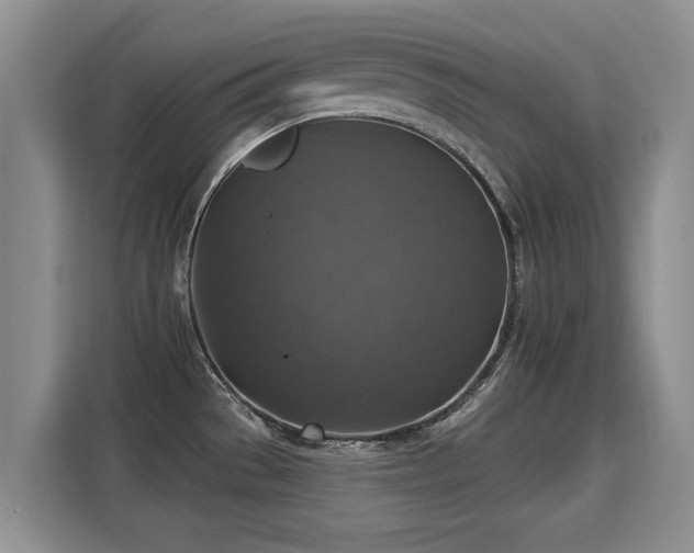 X0000115361529200911101146