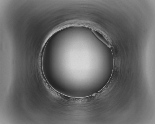 X0000115361530200911101146