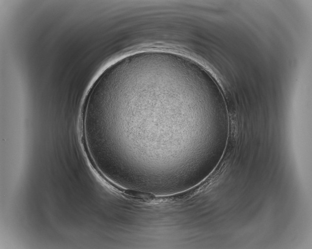 X0000115361531200911101146