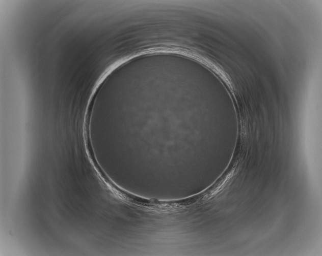 X0000115361533200911101146