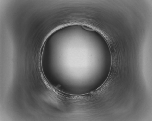 X0000115361534200911101146