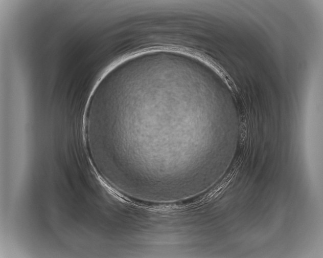 X0000115361535200911101146