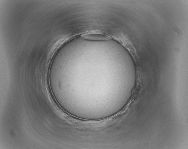X0000115360001200911171403