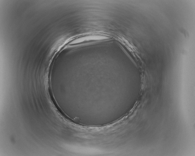 X0000115360002200911171403
