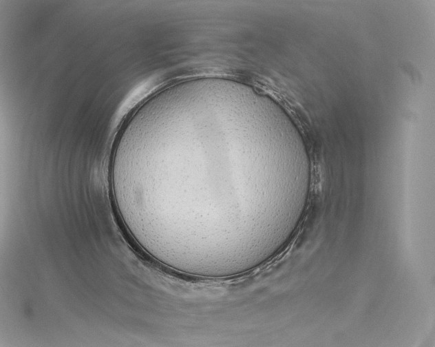 X0000115360004200911171403