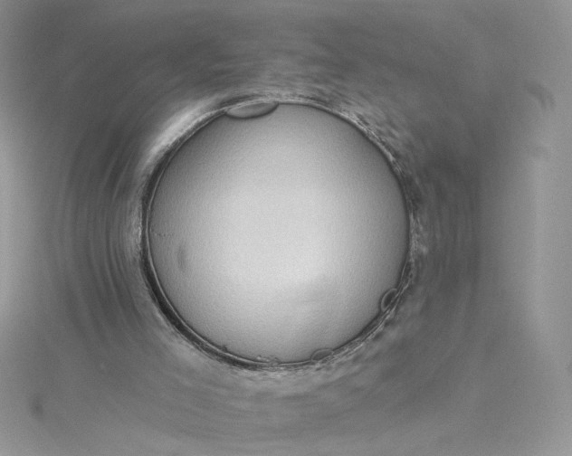 X0000115360005200911171403