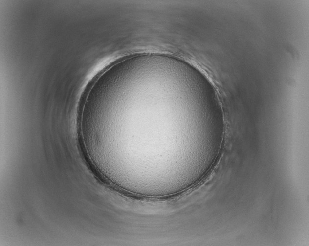 X0000115360008200911171402