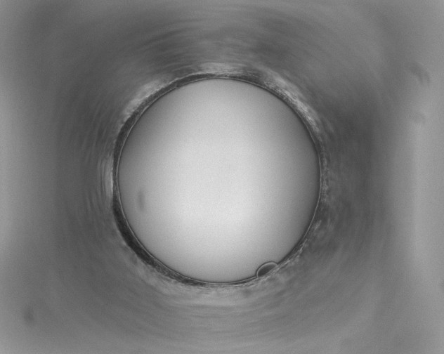 X0000115360011200911171402