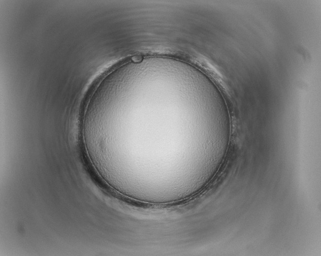 X0000115360012200911171402