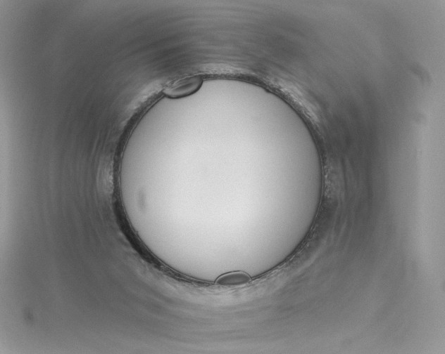 X0000115360015200911171402