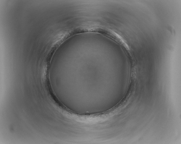 X0000115360018200911171402