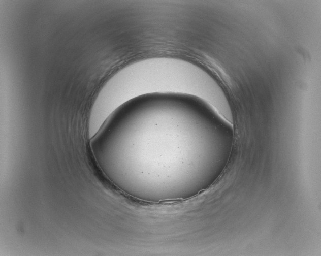 X0000115360025200911171402