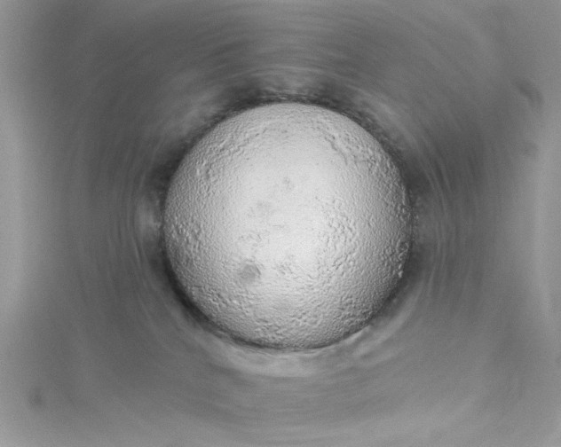 X0000115360040200911171402