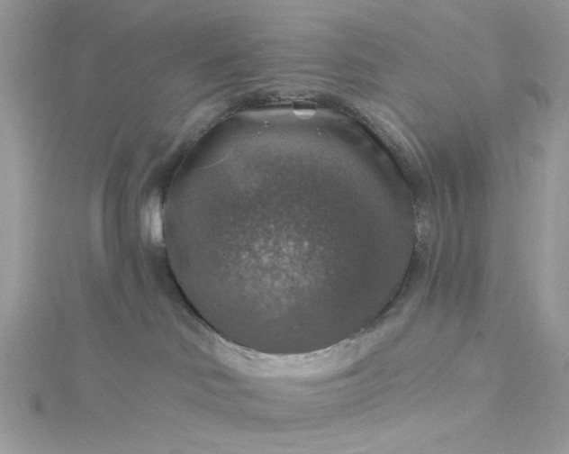 X0000115360046200911171402