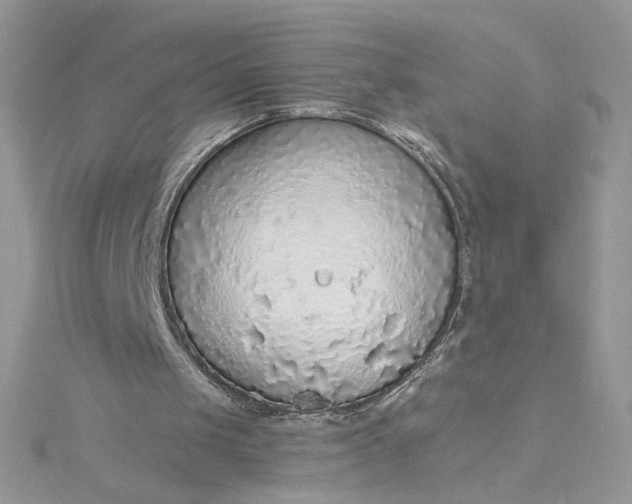 X0000115360049200911171401