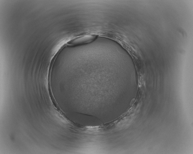 X0000115360052200911171401