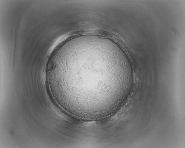 X0000115360054200911171401