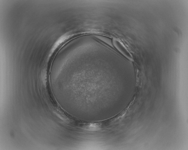X0000115360056200911171401