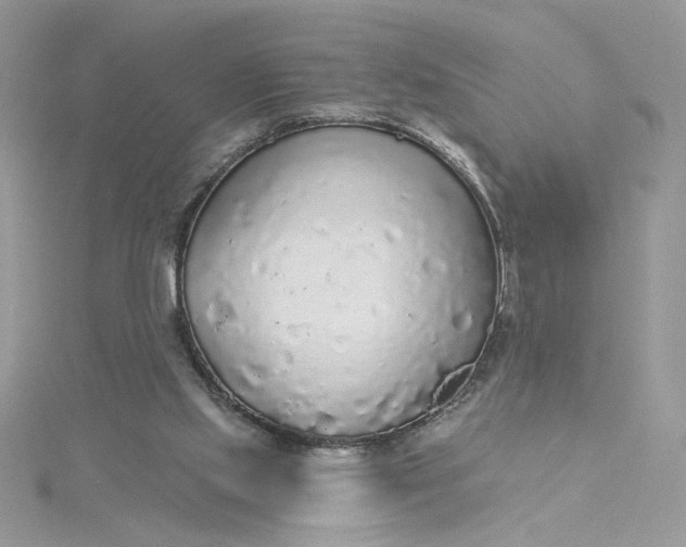 X0000115360061200911171401