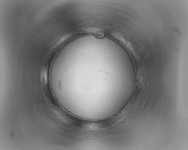 X0000115360062200911171401