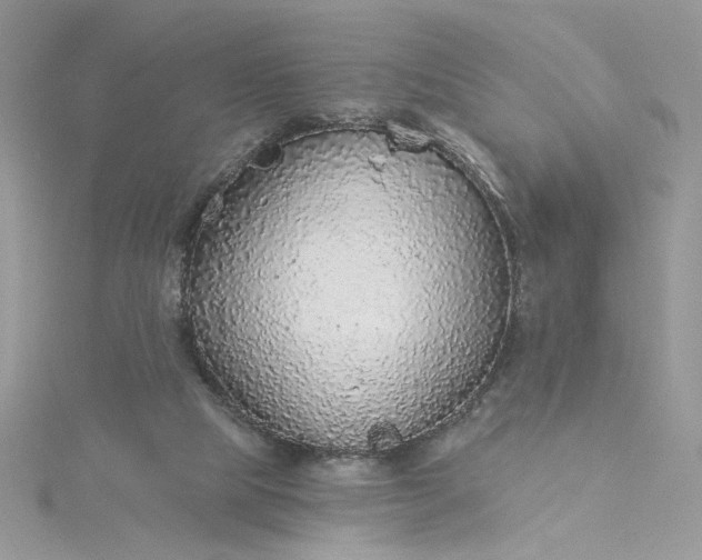 X0000115360065200911171401