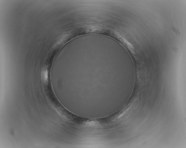 X0000115360067200911171401