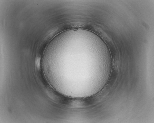 X0000115360070200911171402