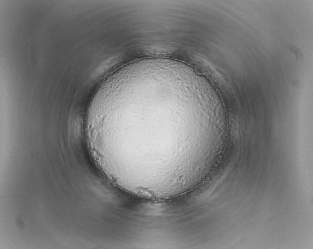 X0000115360071200911171402