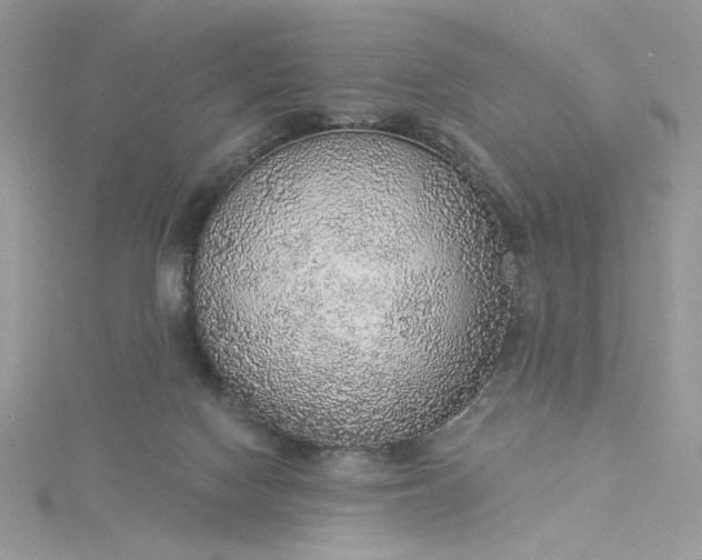 X0000115360074200911171402