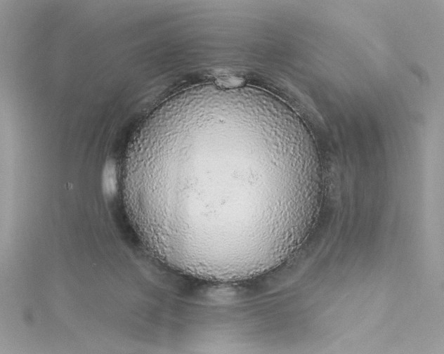 X0000115360075200911171402