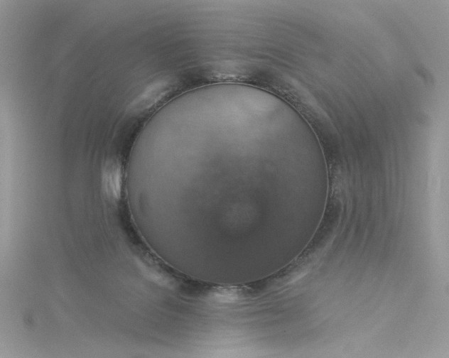 X0000115360076200911171402