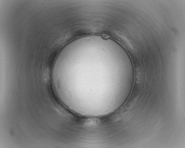 X0000115360077200911171402