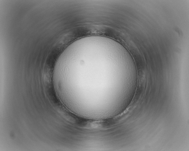 X0000115360078200911171402
