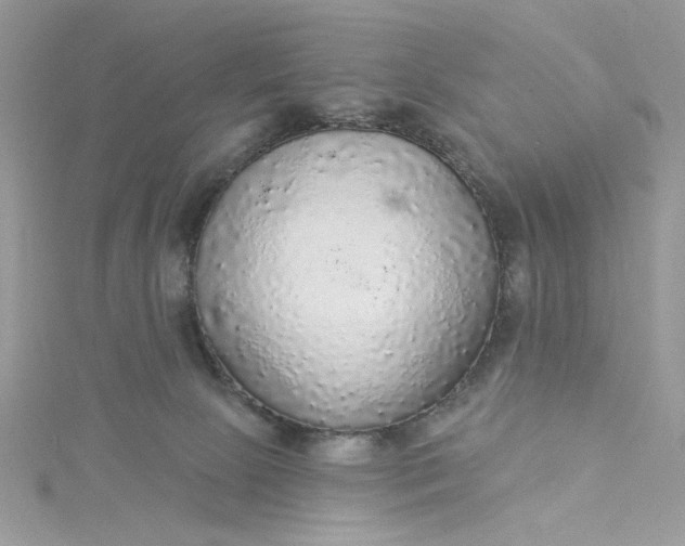 X0000115360081200911171402