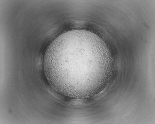 X0000115360082200911171402