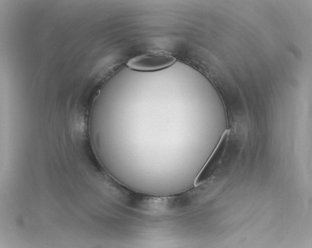 X0000115360084200911171402