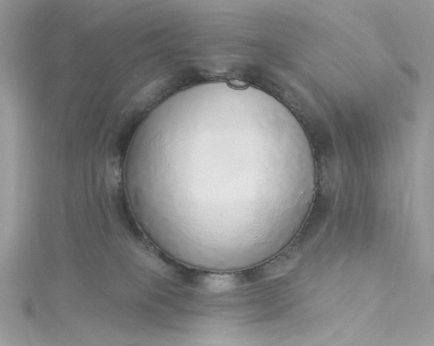 X0000115360085200911171402