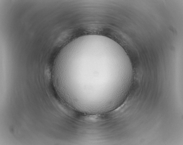 X0000115360086200911171402