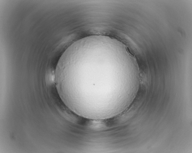 X0000115360095200911171402