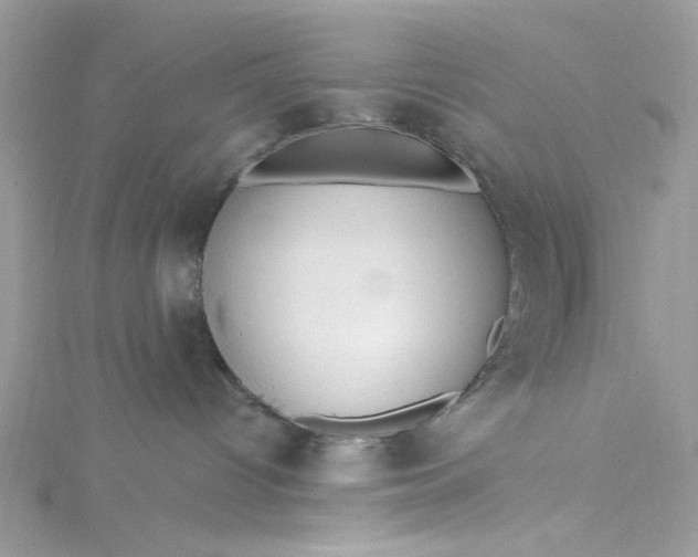 X0000115360096200911171402