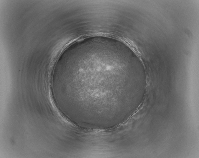 X0000115360097200911171401