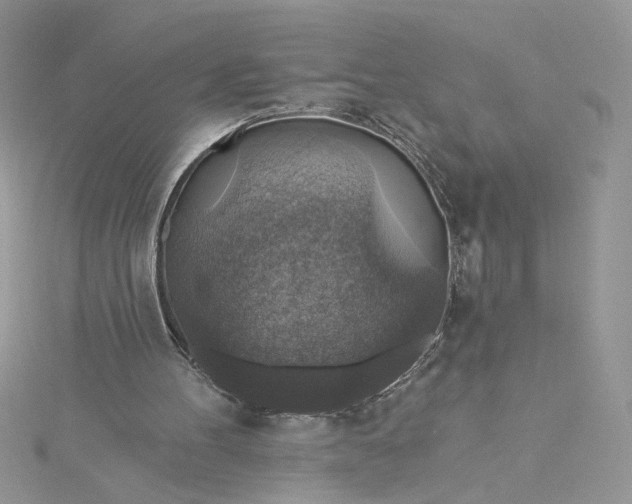 X0000115360100200911171401