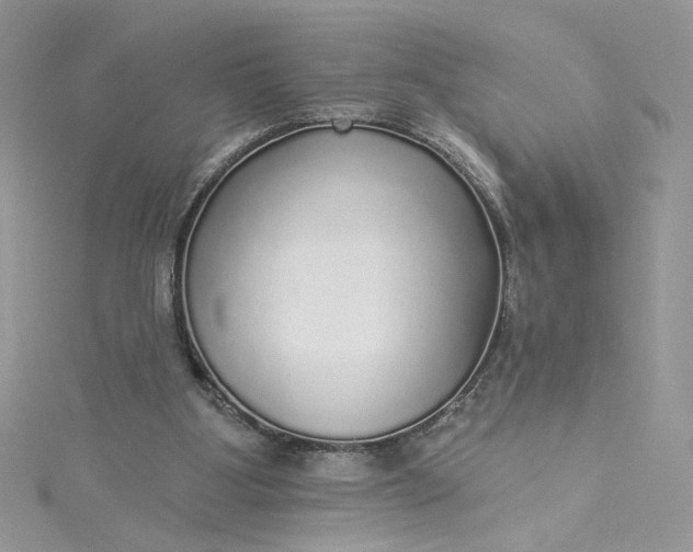 X0000115360107200911171401