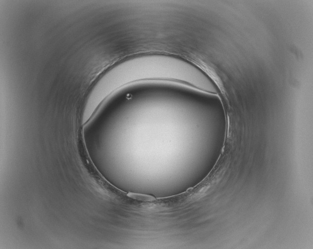 X0000115360109200911171401