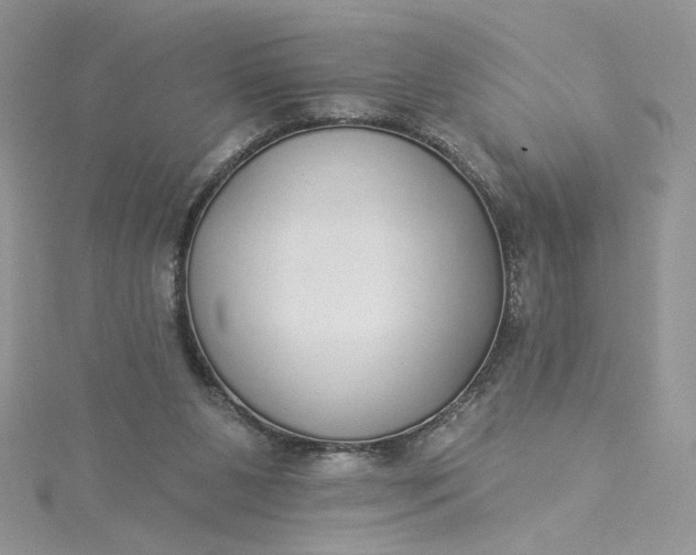 X0000115360111200911171401